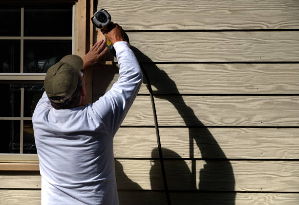 Best Vinyl Siding Installation  in Mazon, IL